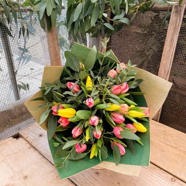 Botanical Tulips