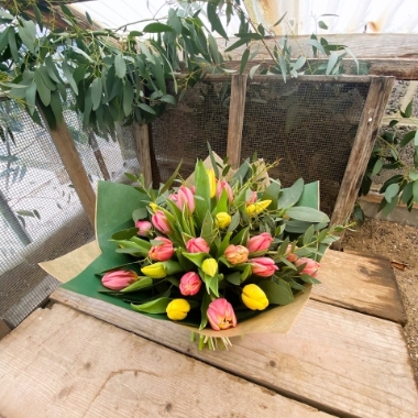 Botanical Tulips