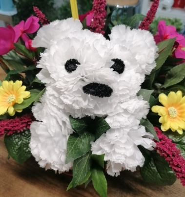 Dog in a Basket
